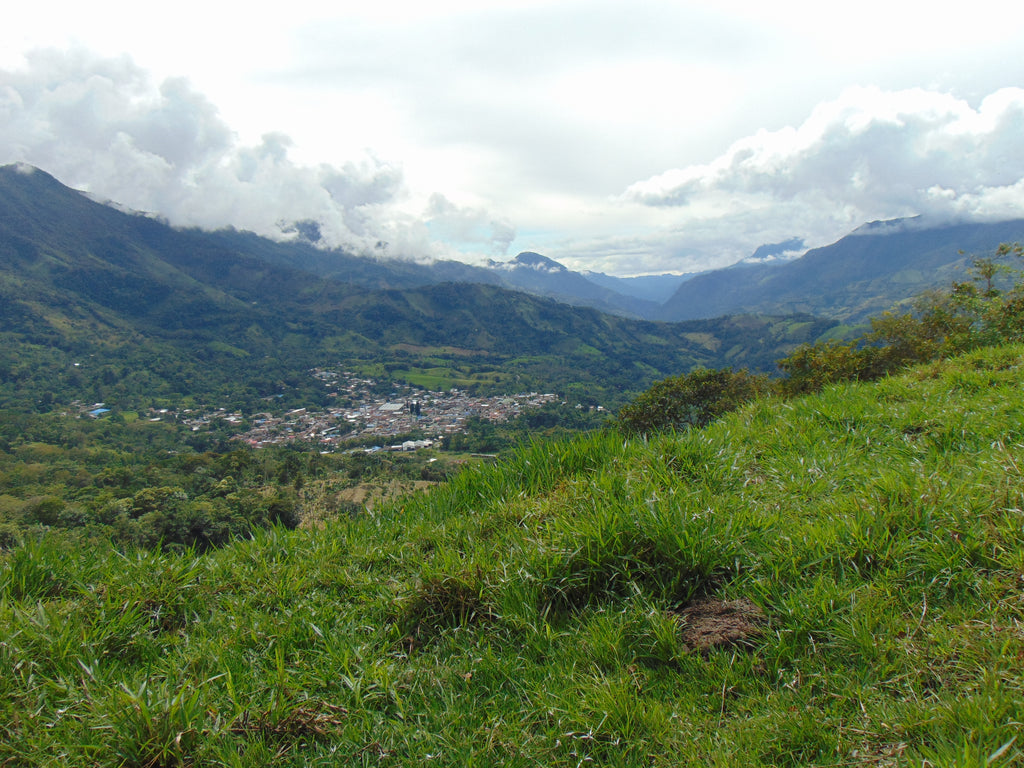 New Travels Ahead: Emerald Hunting in Colombia
