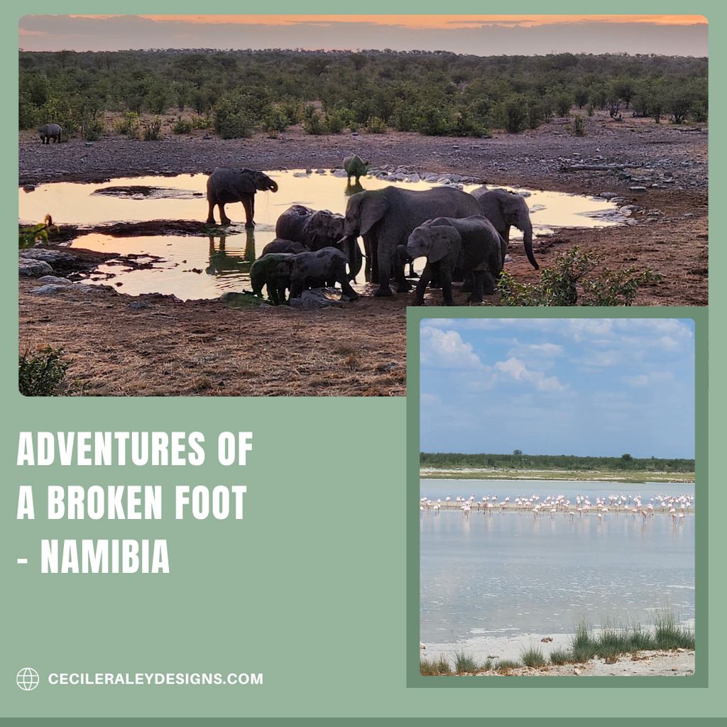 Adventures of a Broken Foot: Namibia