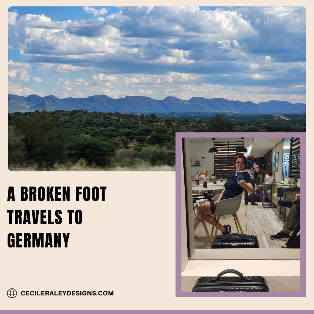 The Inner Working of Hospitals, plus a Safari: A Broken Foot Travels to Germany