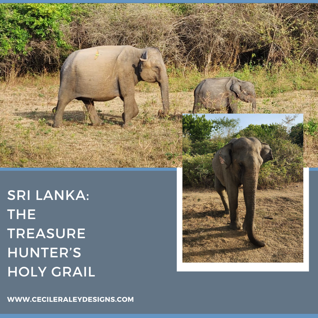 Sri Lanka: The Treasure Hunter’s Holy Grail